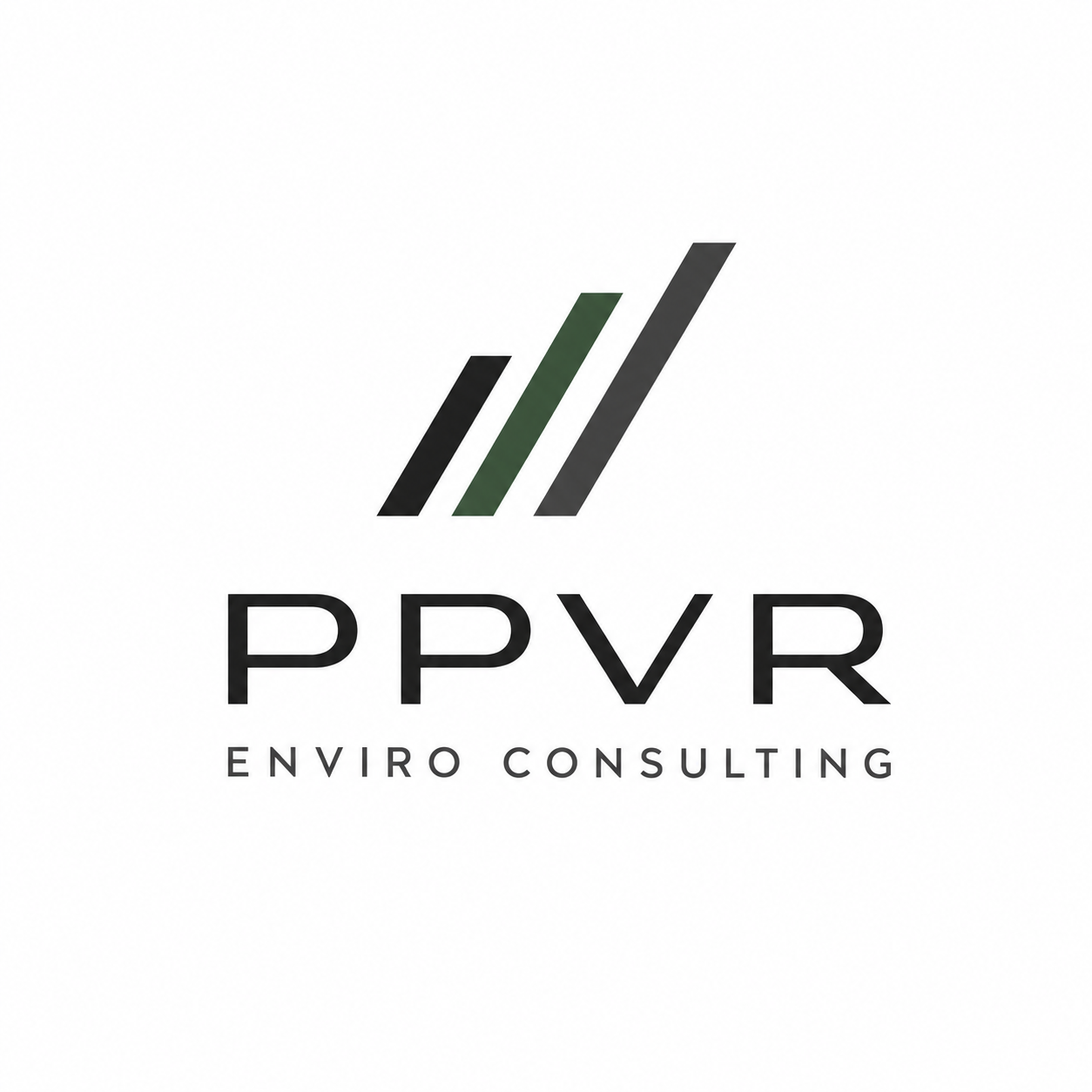 www.ppvrconsulting